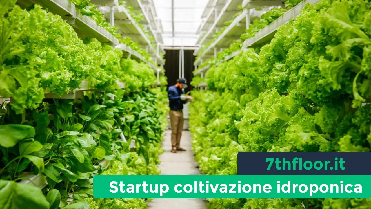 Startup israeliana produce una guida a prova di idiota per la coltivazione idroponica